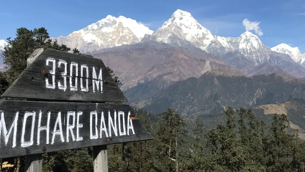 Mohare Danda Trek