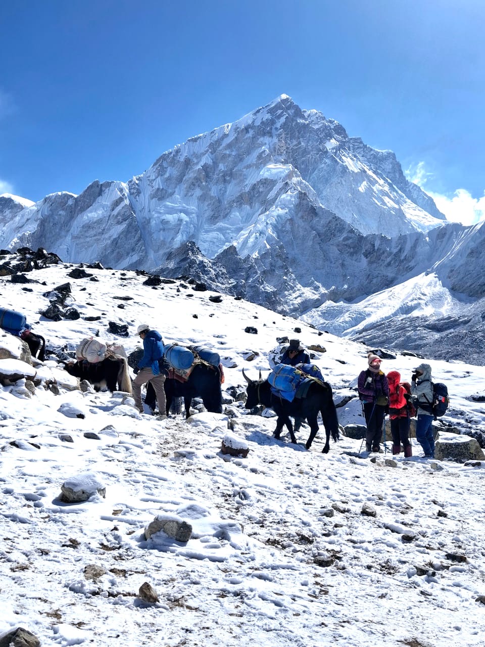 Everest Base Camp
